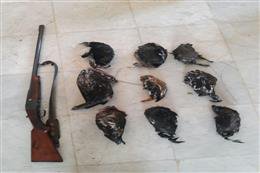 دستگیری شکارچی ۹ قطعه پرنده مهاجر در  نوار ساحلی خلیج گرگان