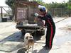 انتقال ۳۸ قلاده سگ بلاصاحب در هفته سوم دی ماه