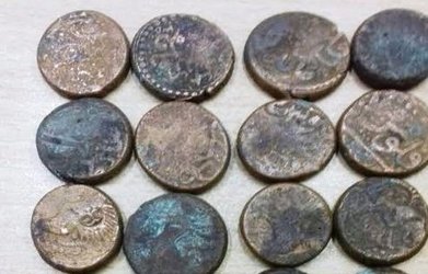 آغاز مطالعه سکه‌های کشف شده در محله شنب غازان تبریز