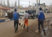 عملیات زنده گیری سگهای بلاصاحب در سطح شهر طالقان
