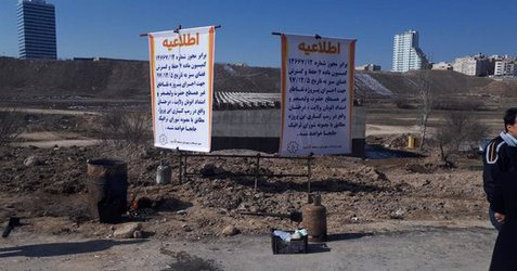 جابجایی درختان واقع در مسیر اتوبان ولایت بزودی انجام می شود