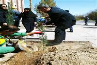 برگزاری آیین کاشت نهال به مناسبت روز درختکاری در کارخانه سیمان کرمان