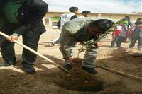 گرامیداشت روز درختکاری در شهرستان تفت-یزد