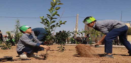 برگزاری جشن درختکاری به...