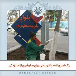 رنگ آمیزی تنه درختان راهی برای پیش‌گیری از آفت‌زدگی