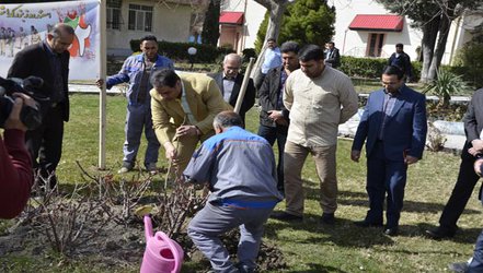 ۲۰۰ اصله نهال در محوطه شرکت آب منطقه ای کرمانشاه غرس گردید