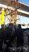 تمهیدات رفع مشکلات ترافیکی در میدان پنج نخل