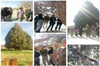 بازدید مدیرکل حفاظت محیط زیست استان یزد در روز طبیعت از سرو کهنسال ابرکوه