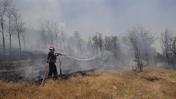 کاهش ۹۵ درصدی آتش سوزی پارک های جنگلی سنندج در سال گذشته / پوشش گیاهی در برخی نقاط آبیدر به بیش از یک متر می رسد
