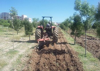 عملیات شخم بهاره در ۶۷ هکتار از اراضی جنگلکاری قزوین به اتمام رسید