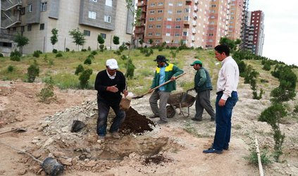 ایجاد ۳ هزار متر مربع فضای سبز در اتوبان پاسداران