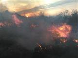 مهار آتش سوزی در منطقه جنگلی ولینگه عباس آباد