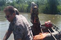 ۶۷ رشته دام در رودخانه کیارود جمع آوری شد