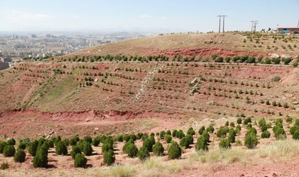 تجهیز پارک جنگلی ۲۵ هکتاری الهیه به امکانات رفاهی