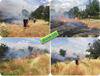 مهار آتش سوزی باغ های منطقه کرهرود توسط نیروهای همیشه در صحنه ۱۲۵