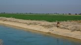۵۶ هزار هکتار از اراضی شمال خوزستان به کشت پاییزه و زمستانه اختصاص یافت