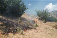 مهار آتش سوزی در پارک ملی کیاسر/ گردشگران عامل آتش سوزی