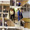 اجرای رای تخریب کمیسیون ماده صد قانون شهرداری ها، در خیابان جنت