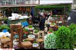 راه اندازی چهارشنبه بازار گل و گیاه در بازار مجیدیه