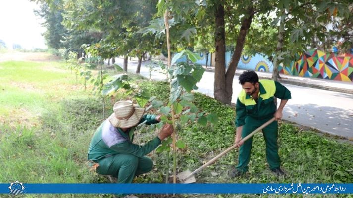 کاشت گل های فصلی، درخت و درختچه در مناطق سه گانه شهری