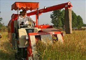 ۱۵۲۵ دستگاه کمباین برای برداشت محصولات کشاورزی در خوزستان نیاز است