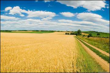 سازمان هواشناسی توصیه‌های کشاورزی دومین هفته سال زراعی را اعلام کرد