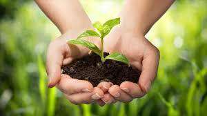 آیین‌نامه اجرایی قانون «حفاظت از خاک» در دستور کار دولت قرار می گیرد
