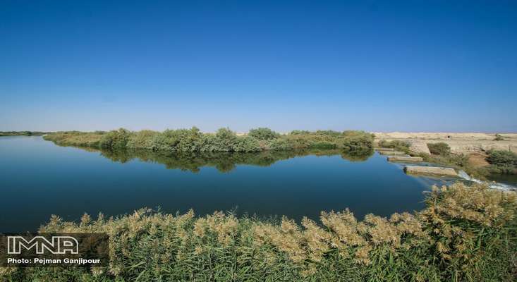 از دوم تا بيستم مهرماه؛ ورود دو ميليون و 241 هزار مترمكعب آب به  تالاب بين المللي گاوخوني