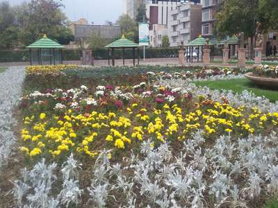 به 288 درخواست مردمی سامانه 137 در سازمان پارک ها و فضای سبز شهرداری قزوین رسیدگی شد