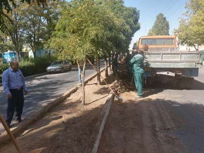 طرح پاکسازی و مناسب سازی بستر فضای سبز معابر شهری اجرا شد