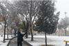 برف تکانی درختان سطح شهر اراک در حال انجام است