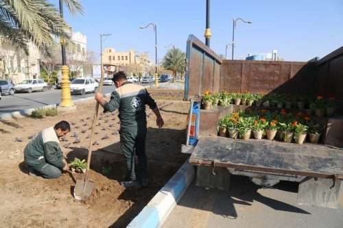 کاشت انبوه گل های فصلی در سطح شهر...