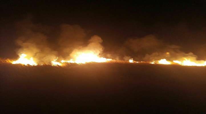 آتش‌سوزی تالاب هامون پس از ۲۴ ساعت مهار شد
