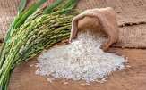 ورود برنج‌های رسوبی در بنادر تا دو هفته آینده به بازار/ مصرف ماهیانه برنج خارجی ۱۲۰ هزار تن است