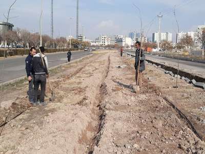 فضای سبز حاشیه شرقی بلوار صیاد شیرازی شمالی تحت پوشش آبیاری قطره ای قرار گرفت