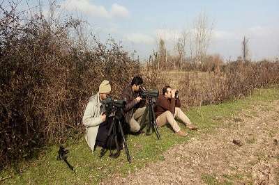 سرشماری پرندگان ۳۰ زیستگاه در آذربایجان‌غربی