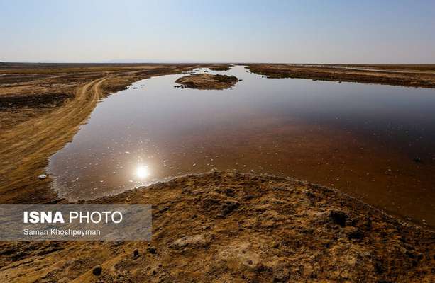 يادداشت دكتر ايرج حشمتي به مناسبت روز جهاني تالاب ها؛ تالاب بين‌المللي گاوخوني و اثر پروانه‌اي