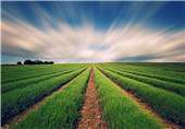 اطلاعیه هواشناسی کشاورزی برای روزهای آینده