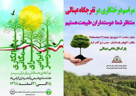 فضای سبز عینالی با ۱۵ هکتار جنگلکاری توسعه می‌یابد
