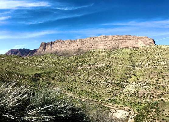 عزم جدی مدیر کل حفاظت محیط زیست فارس در راستای تبدیل شمال غرب شیراز به منطقه حفاظت شده