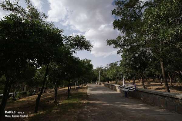 جابجایی تعدادی از درختان پارک صائب تبریزی بر اساس رای قضایی کمیسیون حفظ و توسعه فضای سبز صورت گرفته  ...