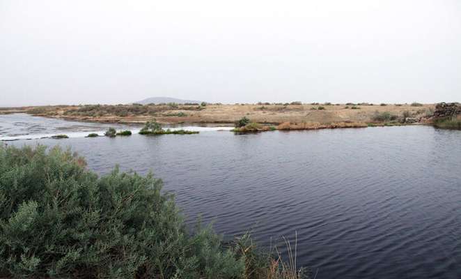 تالاب گاوخوني اصفهان يك دهه در حسرت جشن پرندگان مهاجر