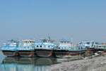 رونق صادرات در آینده ای نزدیک از کوتاه‌ترین مسیر دریایی ایران به کشور عمان