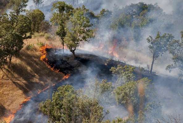 خطر آتش سوزی در مناطق چهارگانه / آماده باش محیط بانان