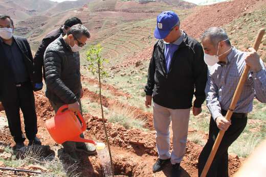 توسعه ۵ هکتاری فضای سبز عون بن علی با کاشت ۵ هزار اصله درخت