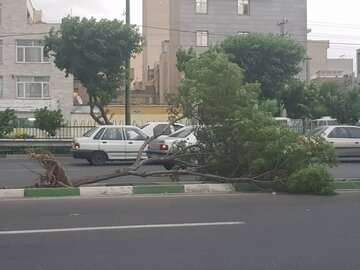 تندبادبا سرعت  ۷۰ کیلومتر مازندران را در نوردید