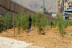 ایجاد بیش از ۲۷ هزار مترمربع فضای سبز در پروژه های شیراز