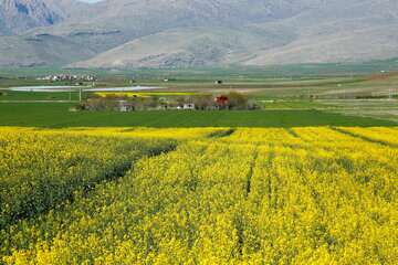 کاهش ۸ درجه‌ای دما در دامنه‌های جنوبی البرز و شمال شرق کشور