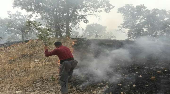سه نفر در اثر آتش‌سوزی مراتع پاوه جان باختند