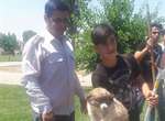 نجات جان کودک و توله سگ گرفتار در چاه